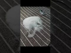 Bekijk Waarom Kiezen Maat 40-80 Mesh MSM Poeder Getest met behulp van GC Methodologie met Totaal Zware Metalen 3